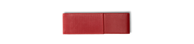 LAMY A 315 Case for 2 pens